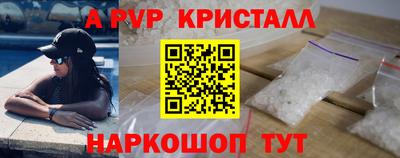 гидра Будённовск