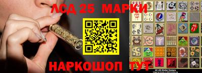 гидра Будённовск
