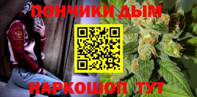 гидра Будённовск