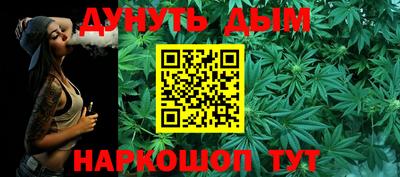 гидра Будённовск