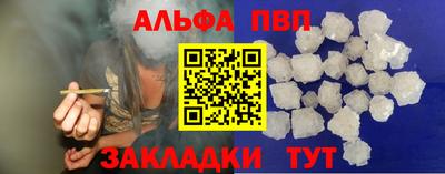 гидра Будённовск